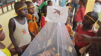 La gala de Harvard Club of Spain recauda más de 4.000€ para la malaria